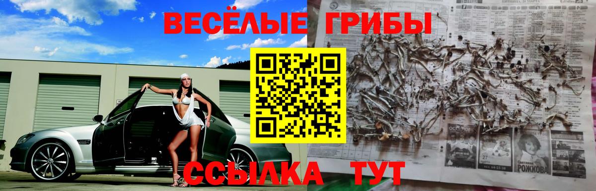 Галлюциногенные грибы Cubensis  Вход с VPN  Ахтубинск 