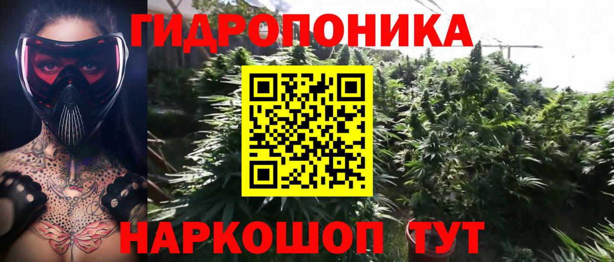 Шишки марихуана гибрид Ахтубинск